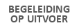 Schilderwerk Begeleiding